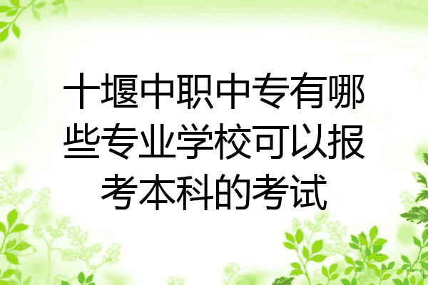 十堰中职中专有哪些专业学校可以报考本科的考试