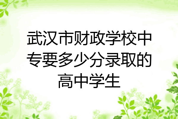 武汉市财政学校中专要多少分录取的高中学生