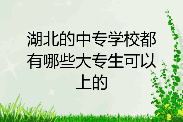湖北的中专学校都有哪些大专生可以上的
