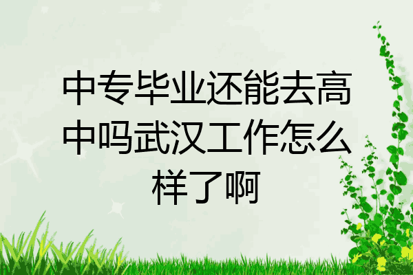 中专毕业还能去高中吗武汉工作怎么样了啊
