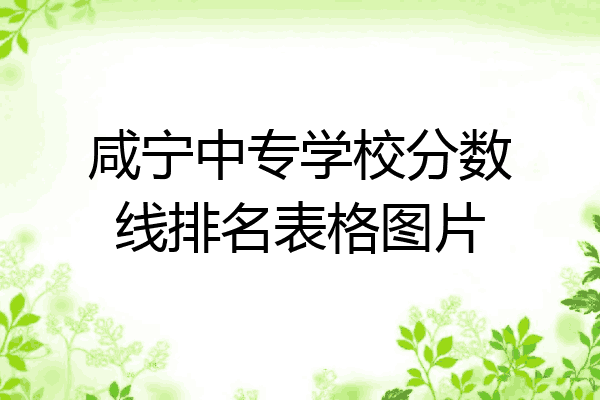 咸宁中专学校分数线排名表格图片