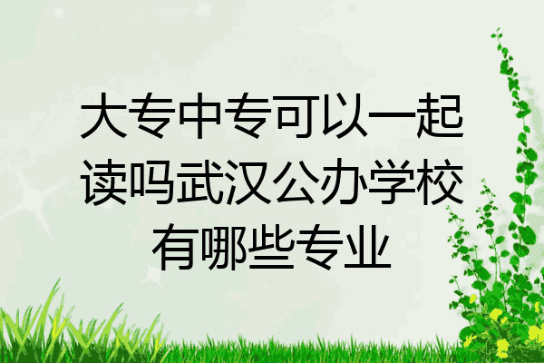 大专中专可以一起读吗武汉公办学校有哪些专业