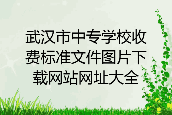 武汉市中专学校收费标准文件图片下载网站网址大全
