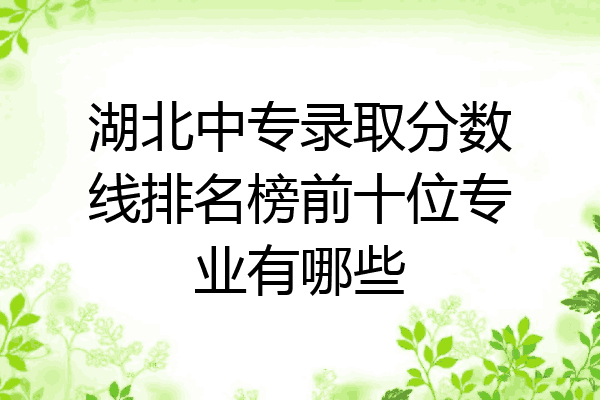 湖北中专录取分数线排名榜前十位专业有哪些