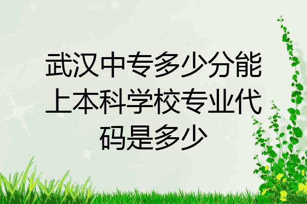 武汉中专多少分能上本科学校专业代码是多少
