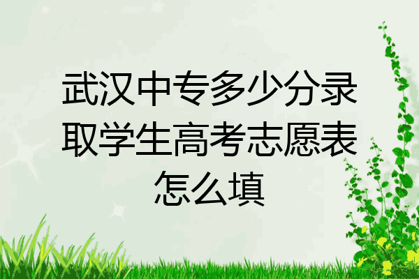 武汉中专多少分录取学生高考志愿表怎么填
