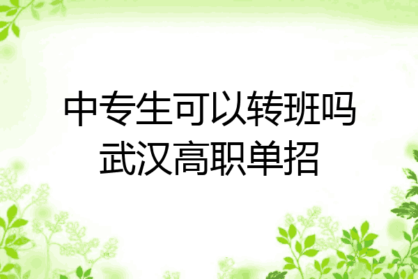 中专生可以转班吗武汉高职单招