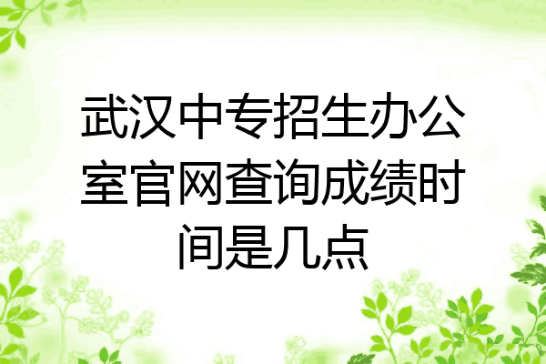 武汉中专招生办公室官网查询成绩时间是几点