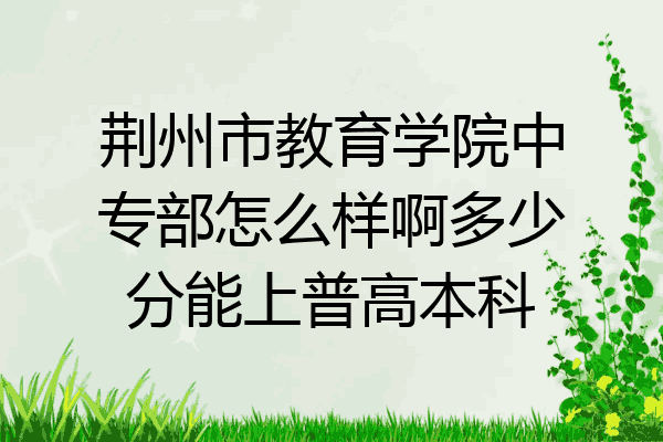 荆州市教育学院中专部怎么样啊多少分能上普高本科