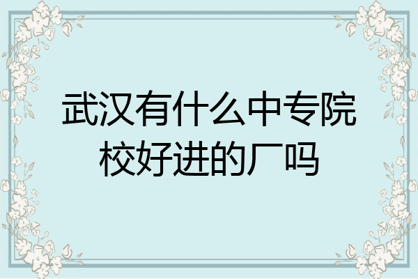 武汉有什么中专院校好进的厂吗