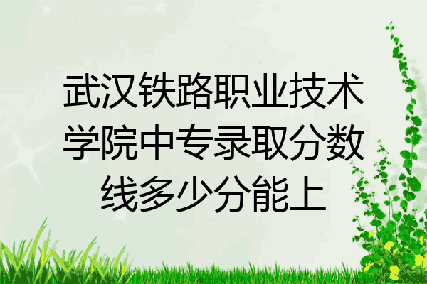 武汉铁路职业技术学院中专录取分数线多少分能上