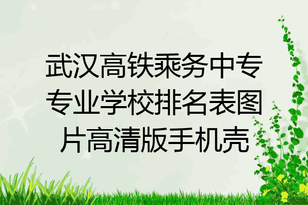 武汉高铁乘务中专专业学校排名表图片高清版手机壳