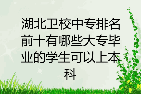 湖北卫校中专排名前十有哪些大专毕业的学生可以上本科