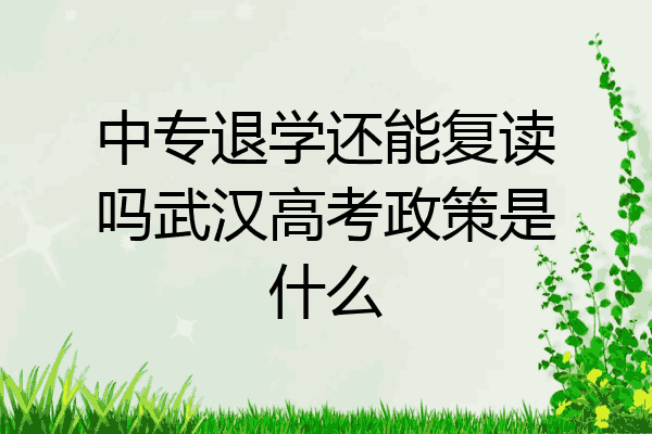 中专退学还能复读吗武汉高考政策是什么