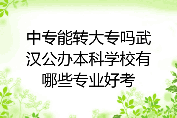 中专能转大专吗武汉公办本科学校有哪些专业好考