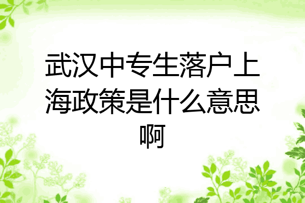 武汉中专生落户上海政策是什么意思啊