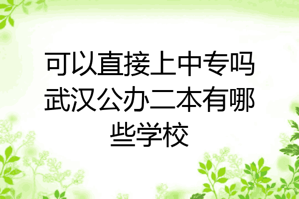 可以直接上中专吗武汉公办二本有哪些学校