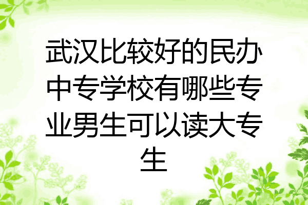 武汉比较好的民办中专学校有哪些专业男生可以读大专生
