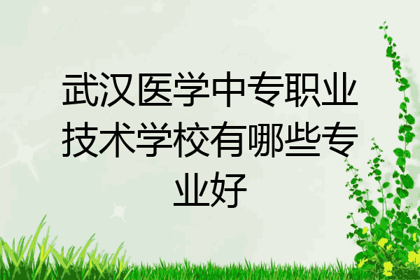 武汉医学中专职业技术学校有哪些专业好