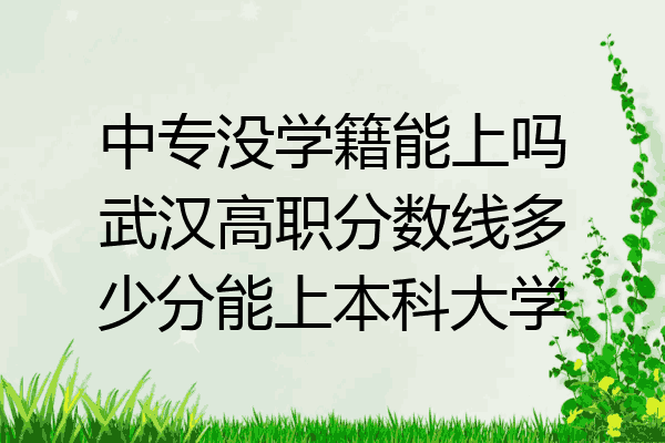 中专没学籍能上吗武汉高职分数线多少分能上本科大学