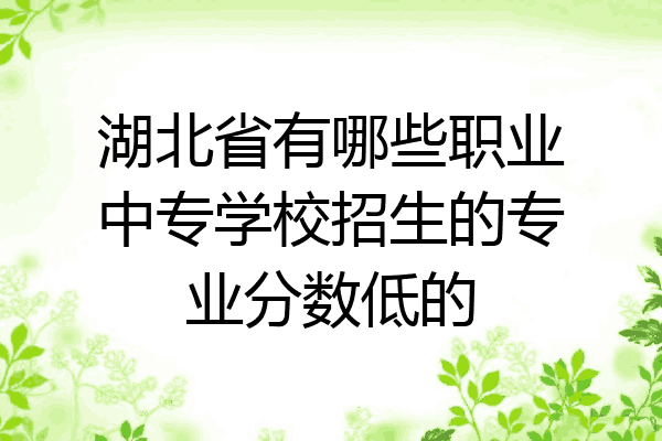 湖北省有哪些职业中专学校招生的专业分数低的