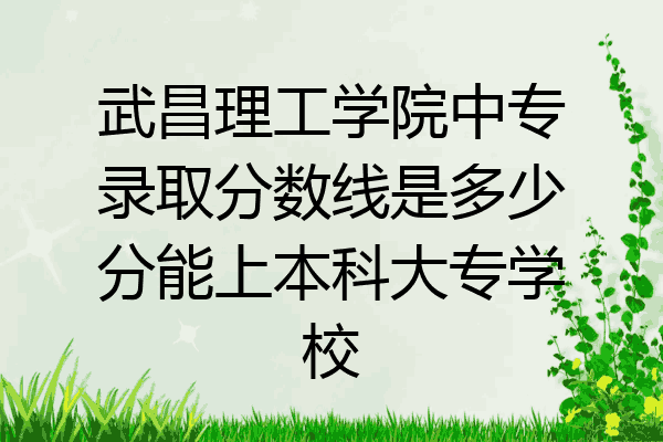 武昌理工学院中专录取分数线是多少分能上本科大专学校