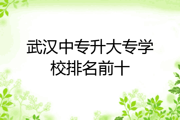 武汉中专升大专学校排名前十
