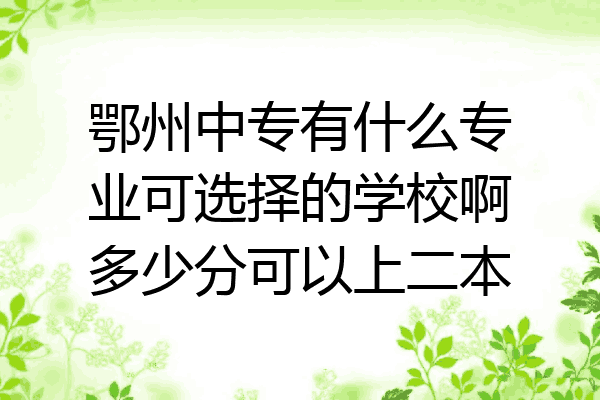 鄂州中专有什么专业可选择的学校啊多少分可以上二本