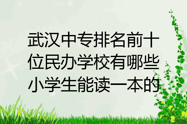 武汉中专排名前十位民办学校有哪些小学生能读一本的