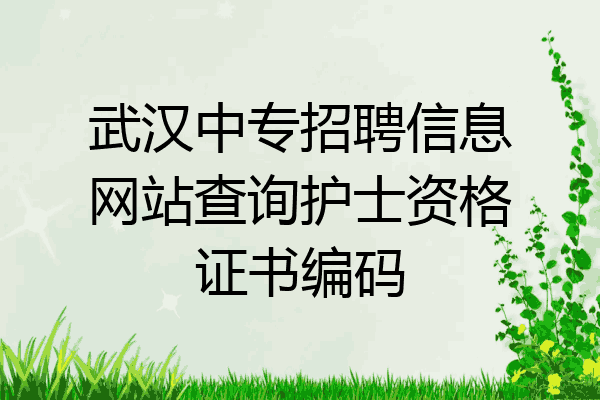 武汉中专招聘信息网站查询护士资格证书编码