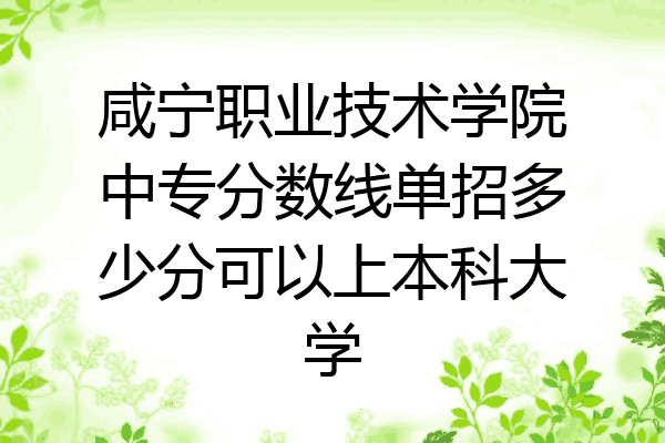 咸宁职业技术学院中专分数线单招多少分可以上本科大学