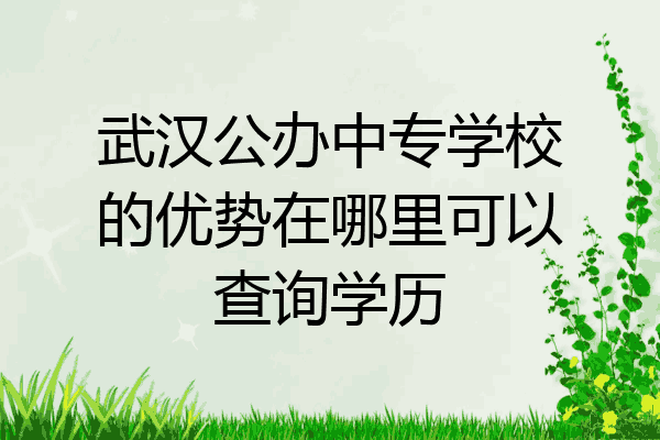 武汉公办中专学校的优势在哪里可以查询学历