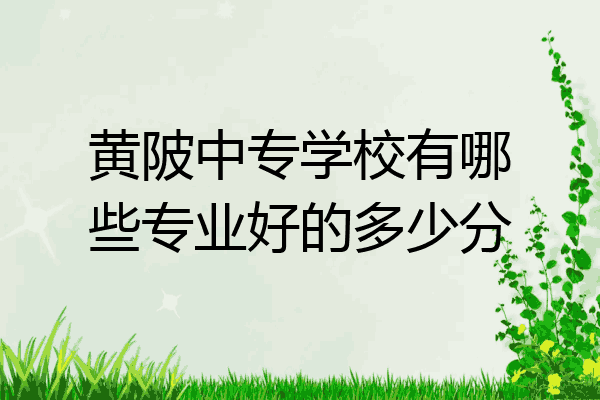 黄陂中专学校有哪些专业好的多少分