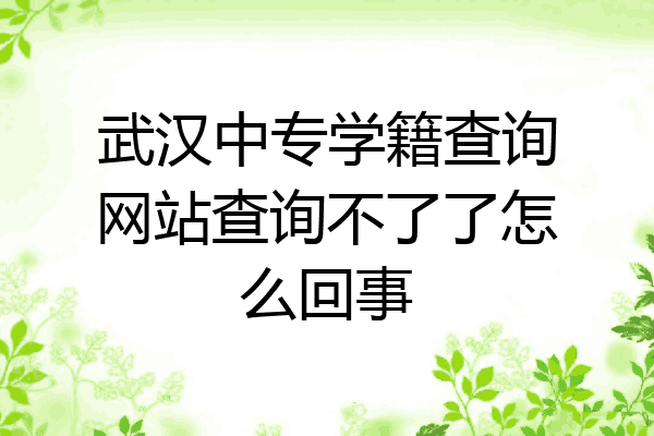 武汉中专学籍查询网站查询不了了怎么回事