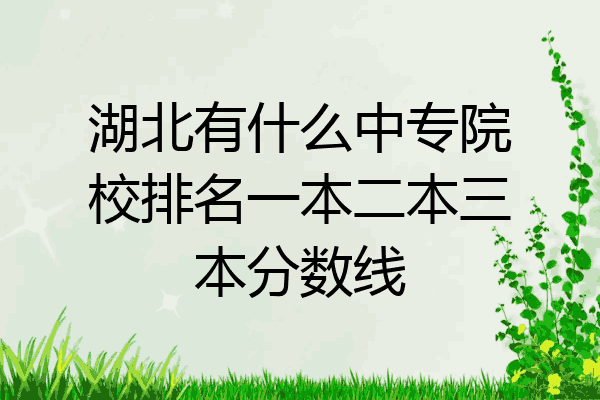 湖北有什么中专院校排名一本二本三本分数线