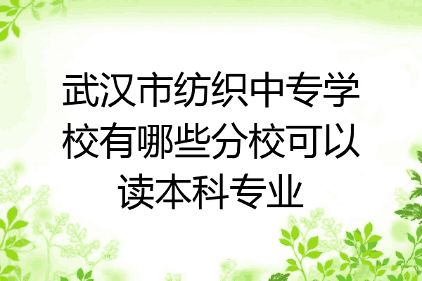 武汉市纺织中专学校有哪些分校可以读本科专业