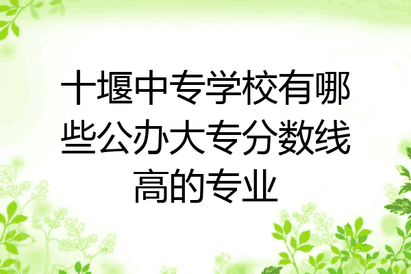 十堰中专学校有哪些公办大专分数线高的专业