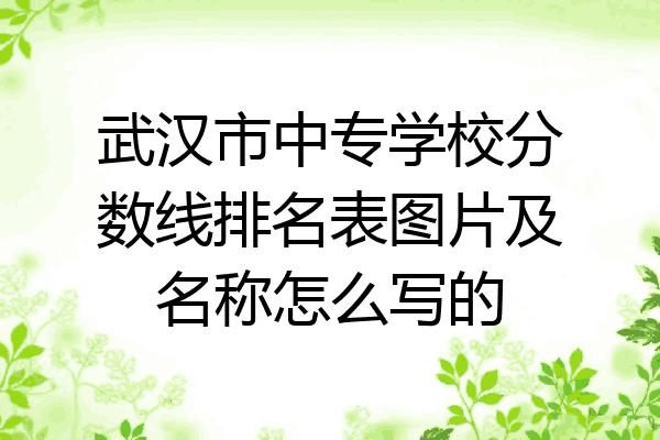 武汉市中专学校分数线排名表图片及名称怎么写的