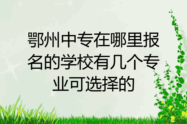 鄂州中专在哪里报名的学校有几个专业可选择的