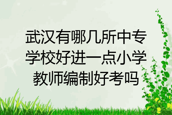 武汉有哪几所中专学校好进一点小学教师编制好考吗