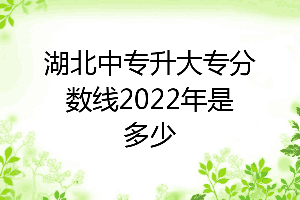 湖北中专升大专分数线2022年是多少