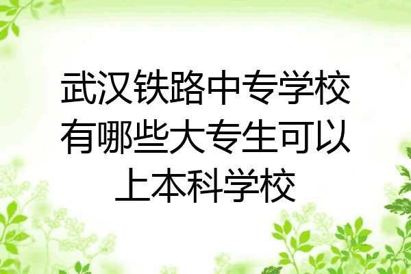 武汉铁路中专学校有哪些大专生可以上本科学校