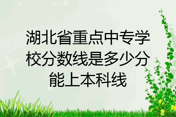 湖北省重点中专学校分数线是多少分能上本科线