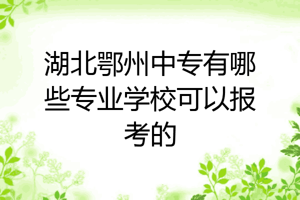 湖北鄂州中专有哪些专业学校可以报考的