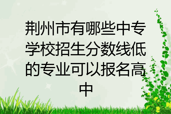 荆州市有哪些中专学校招生分数线低的专业可以报名高中