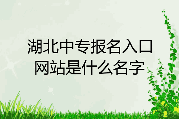 湖北中专报名入口网站是什么名字