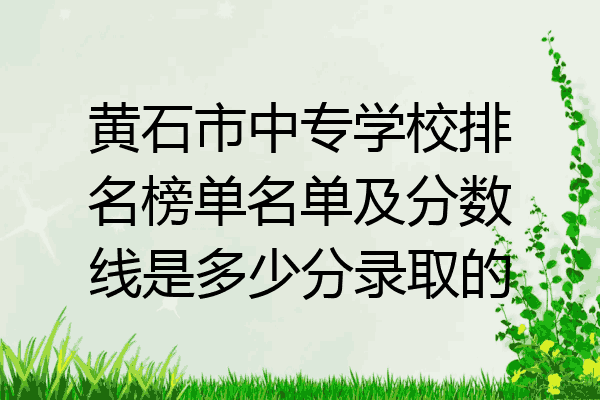 黄石市中专学校排名榜单名单及分数线是多少分录取的