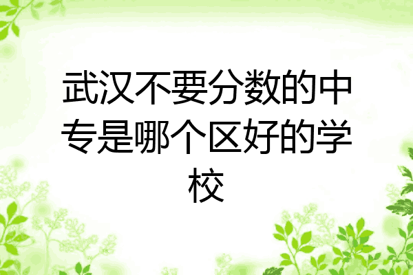 武汉不要分数的中专是哪个区好的学校