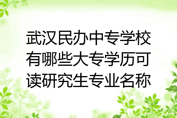 武汉民办中专学校有哪些大专学历可读研究生专业名称