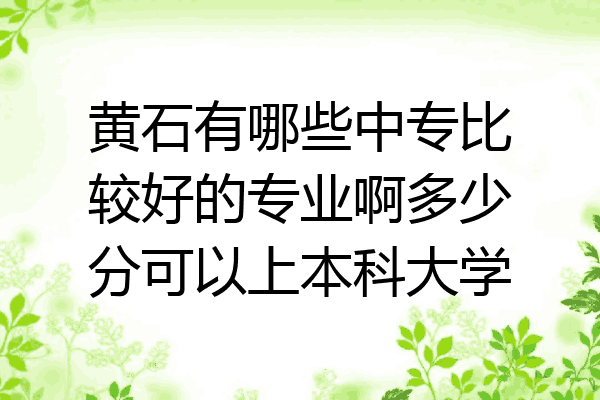 黄石有哪些中专比较好的专业啊多少分可以上本科大学